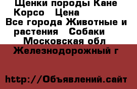 Щенки породы Кане-Корсо › Цена ­ 25 000 - Все города Животные и растения » Собаки   . Московская обл.,Железнодорожный г.